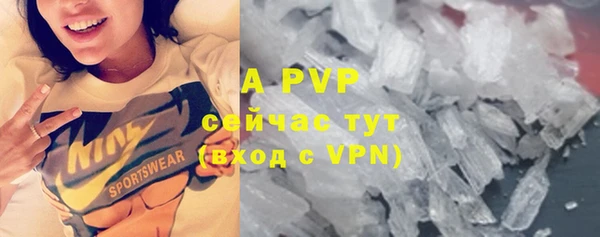 ALPHA PVP Каменка