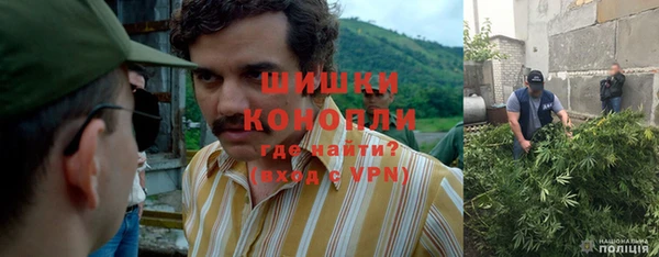 первитин Каменногорск